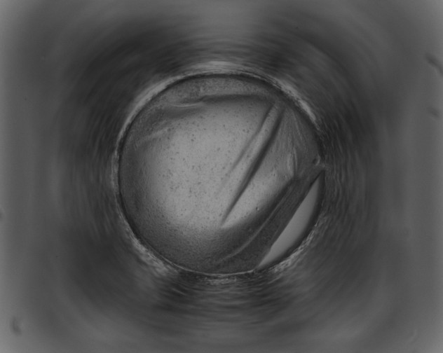 X0000096941421200802291022