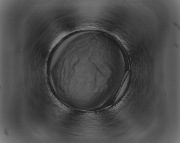 X0000096941422200802291022