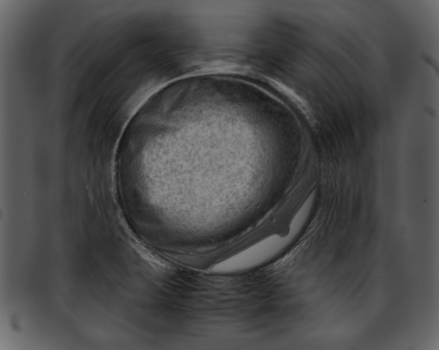 X0000096941423200802291022