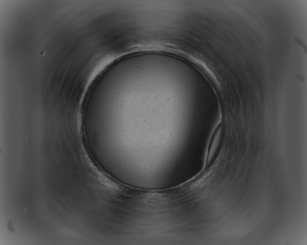 X0000096941424200802291022