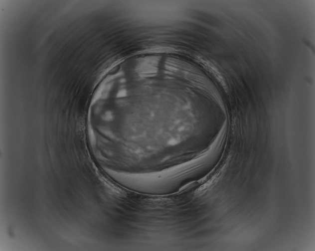 X0000096941425200802291022