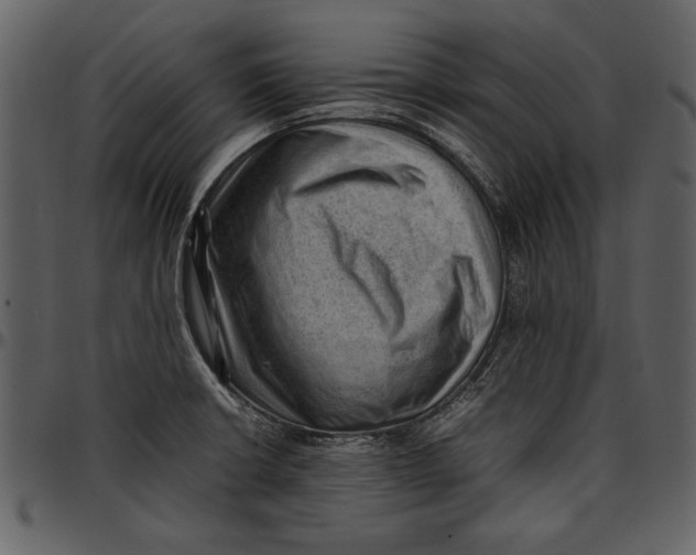 X0000096941426200802291022