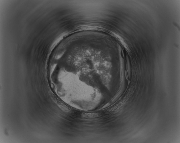 X0000096941427200802291022