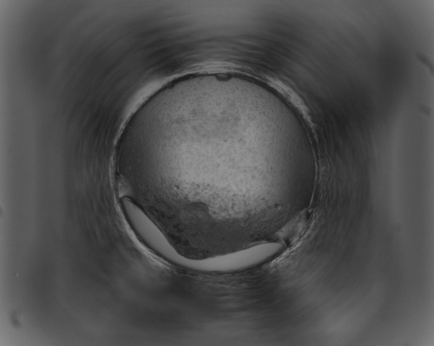 X0000096941429200802291022