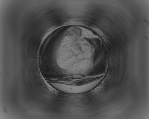 X0000096941430200802291022