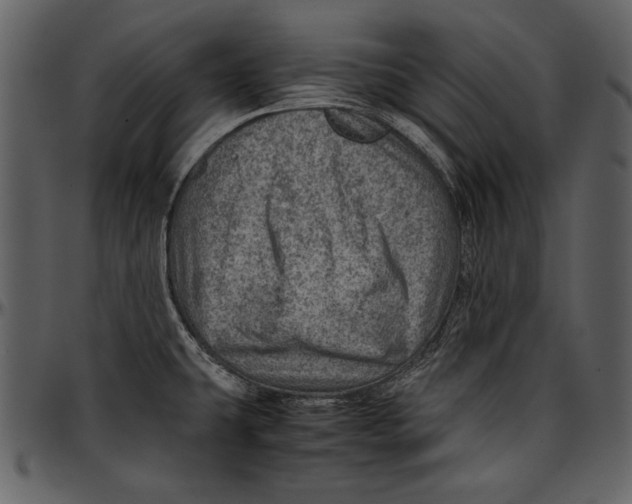 X0000096941431200802291022