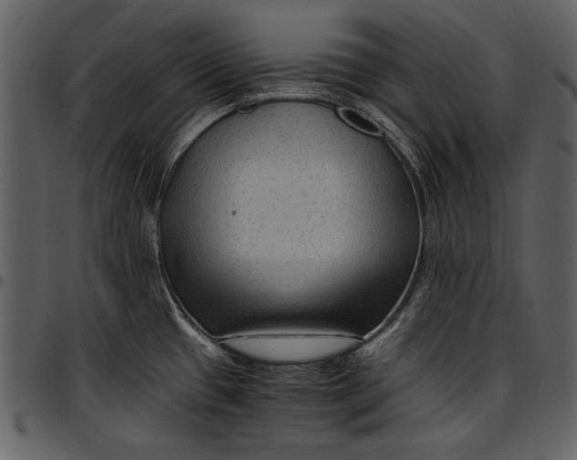 X0000096941433200802291022