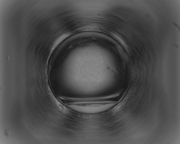 X0000096941434200802291022