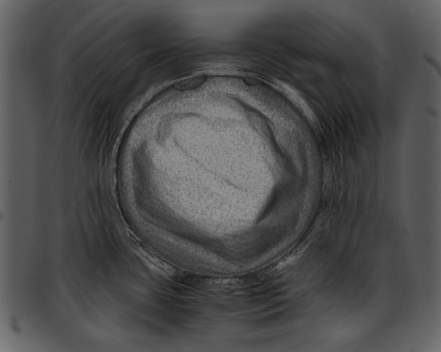 X0000096941435200802291022