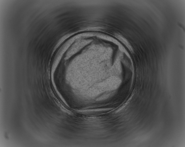 X0000096941436200802291022