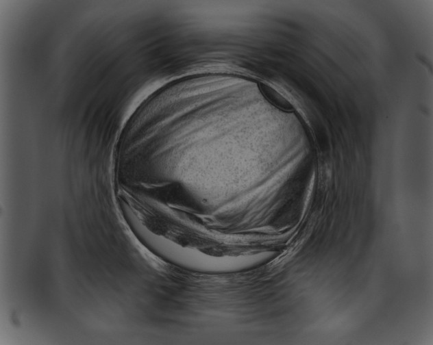 X0000096941438200802291022