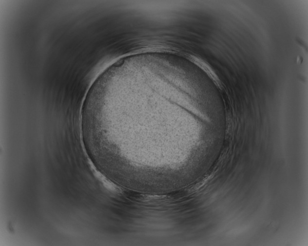 X0000096941439200802291022