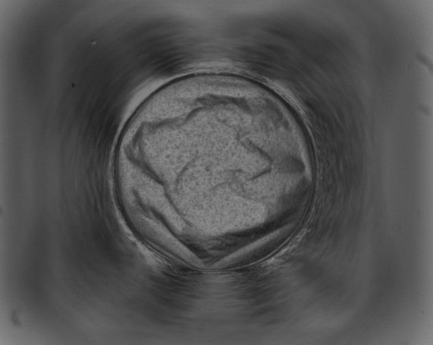 X0000096941440200802291022