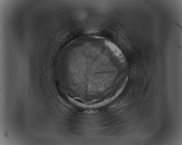 X0000096941441200802291021