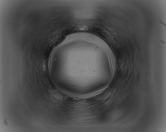 X0000096941442200802291021