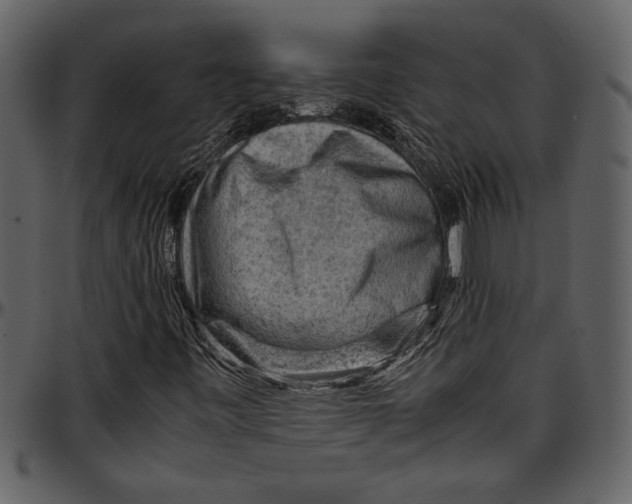 X0000096941443200802291021