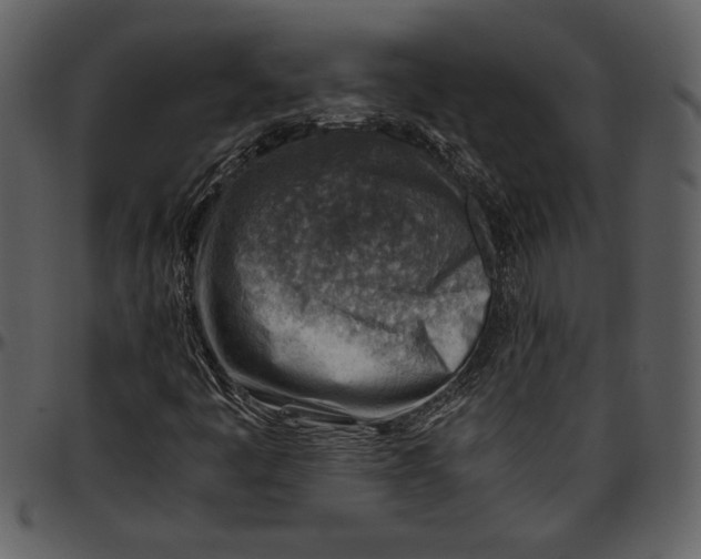 X0000096941445200802291021