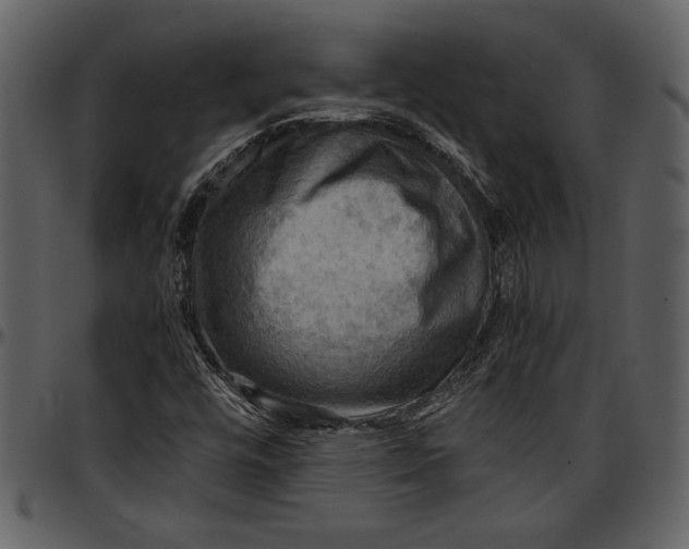 X0000096941448200802291021