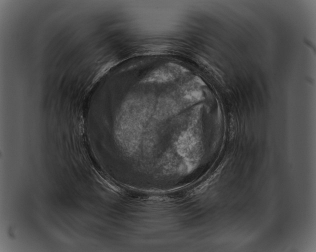 X0000096941449200802291021