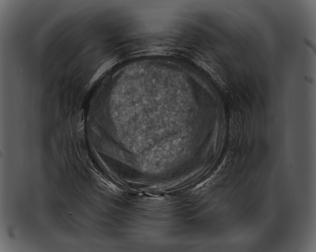 X0000096941450200802291021