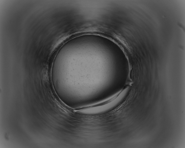 X0000096941452200802291021