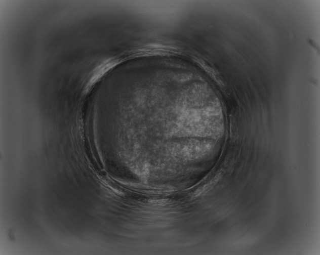 X0000096941453200802291021