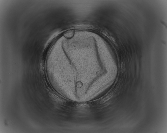 X0000096941454200802291021