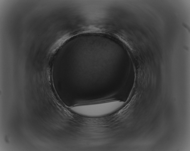 X0000096941455200802291021