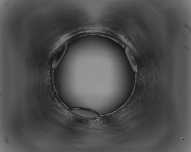 X0000096941456200802291021