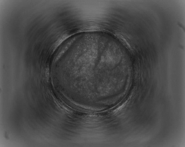 X0000096941457200802291021