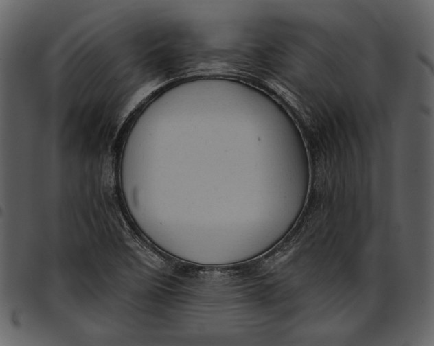 X0000096941458200802291021