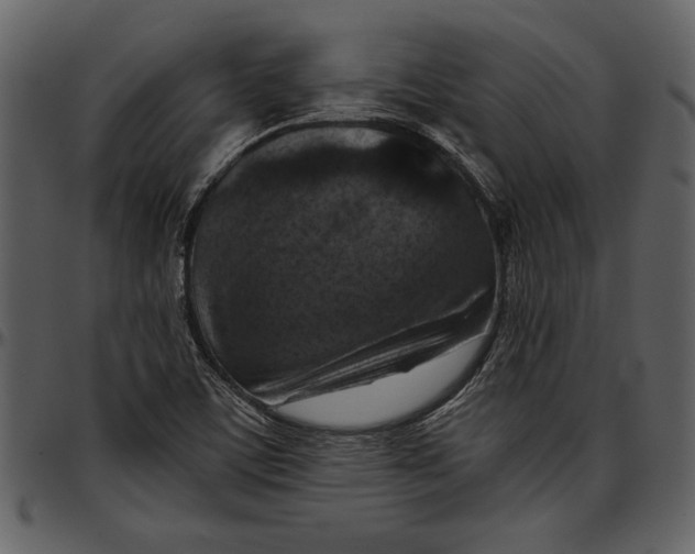 X0000096941459200802291021