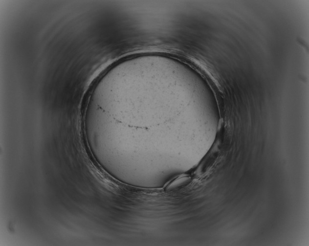 X0000096941460200802291021