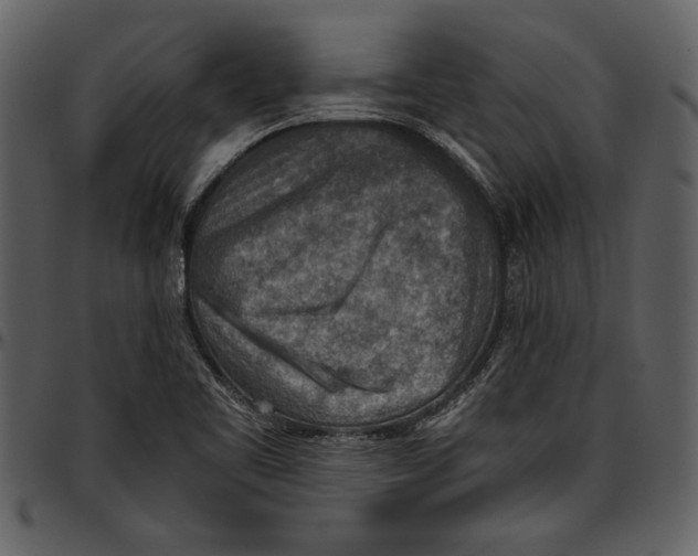 X0000096941461200802291021