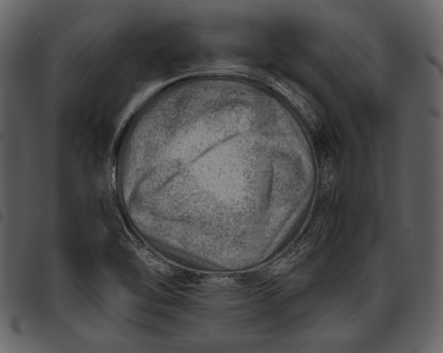 X0000096941462200802291021