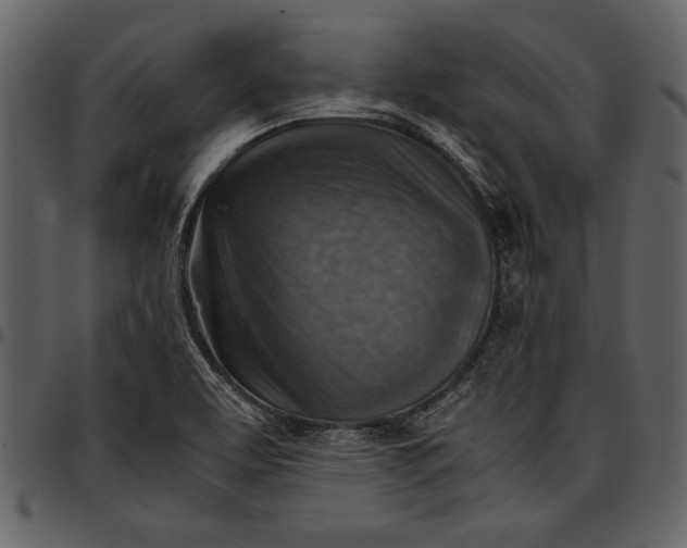 X0000096941463200802291021