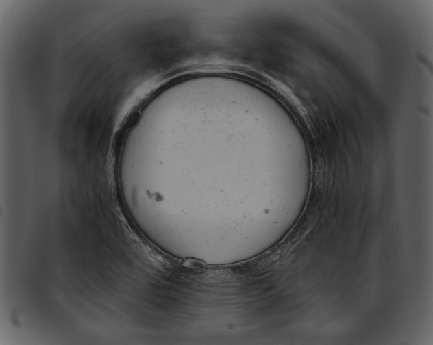 X0000096941464200802291021