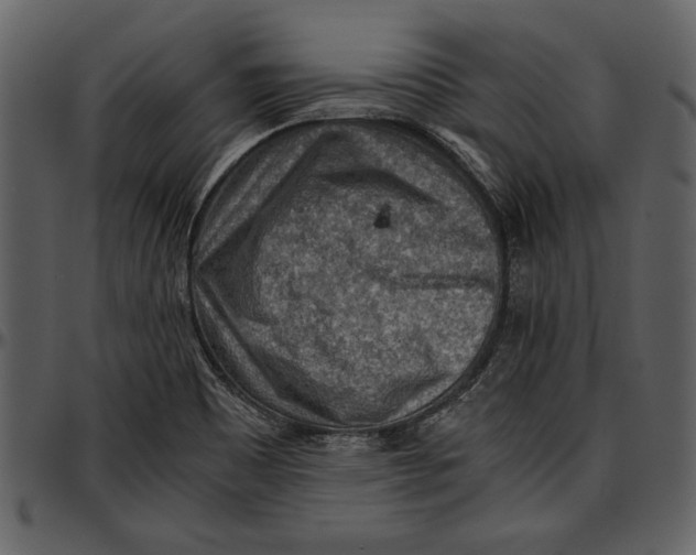 X0000096941465200802291021