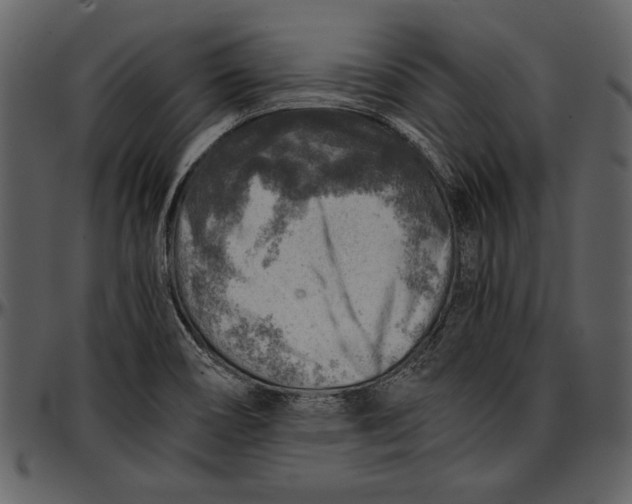 X0000096941466200802291021