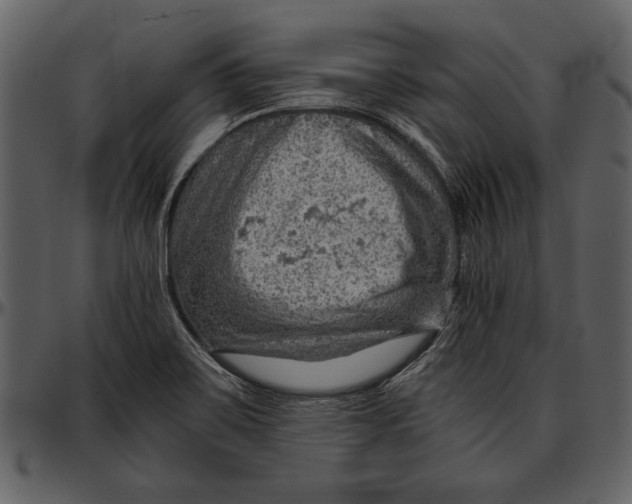 X0000096941467200802291021