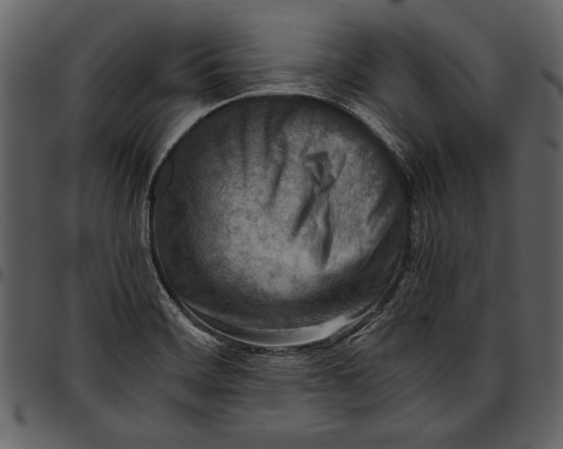 X0000096941468200802291021