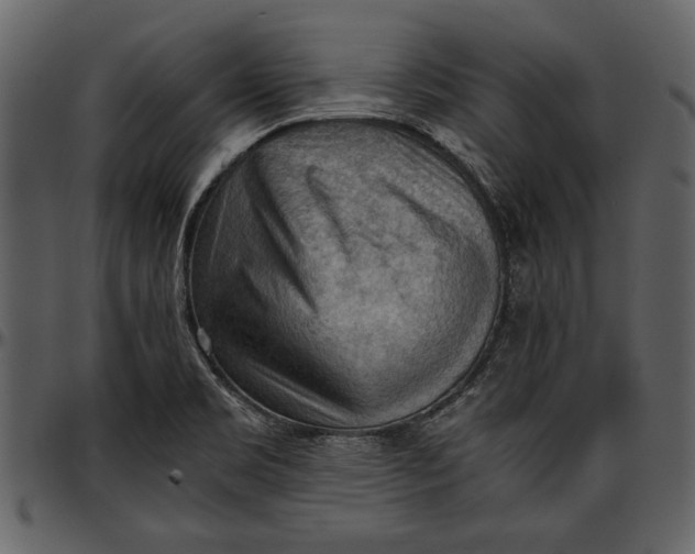 X0000096941469200802291021