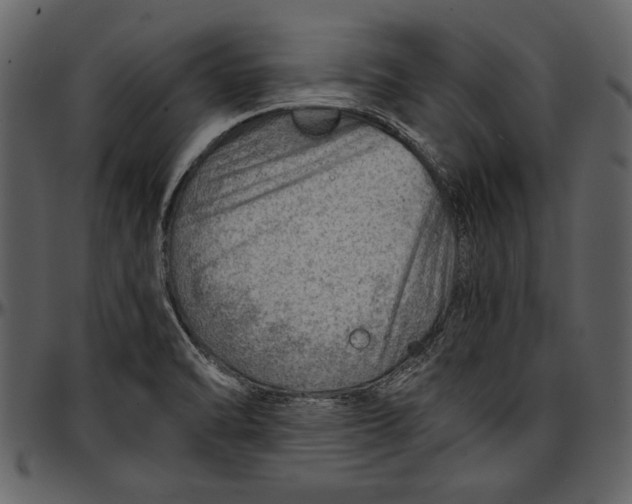 X0000096941470200802291021