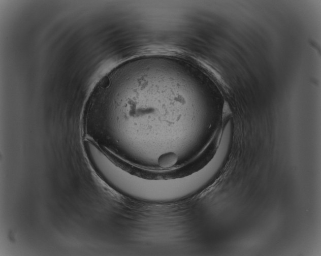 X0000096941471200802291021