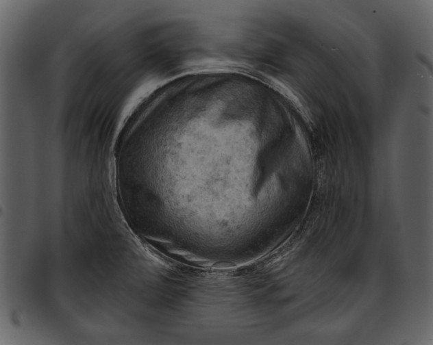 X0000096941472200802291021