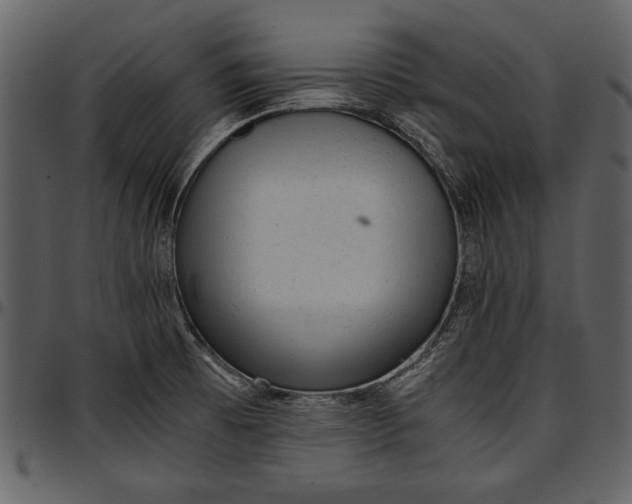 X0000096941473200802291020