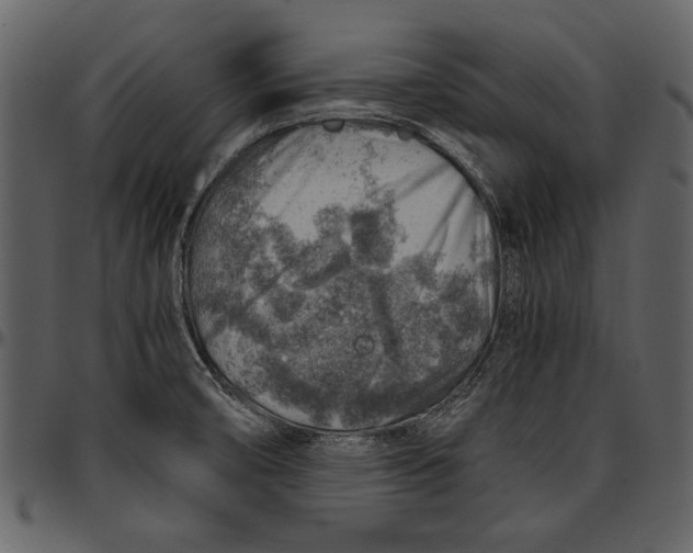 X0000096941474200802291020