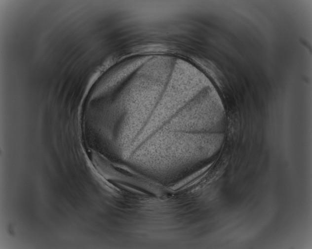 X0000096941475200802291020