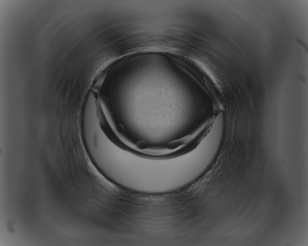 X0000096941476200802291020