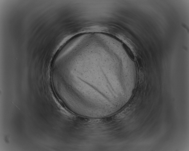 X0000096941477200802291020